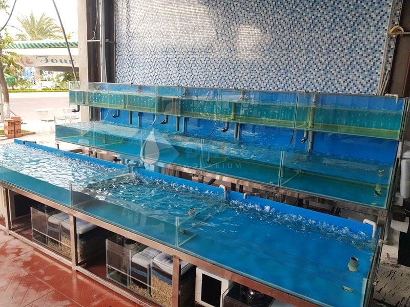 Cách-chăm-sóc-và-bảo-dưỡng-hồ-hải-sản-dúng-cách