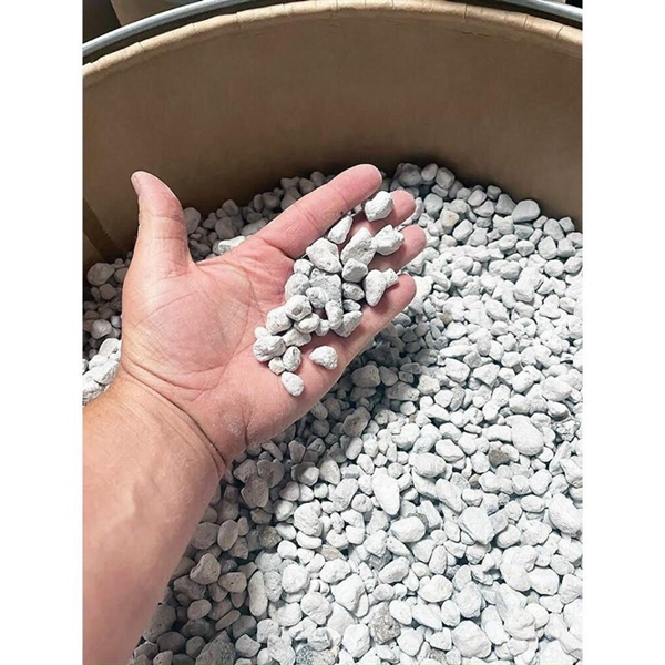 San hô lọc nước San hô lọc nước