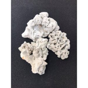 Đá Layout Hồ Cá