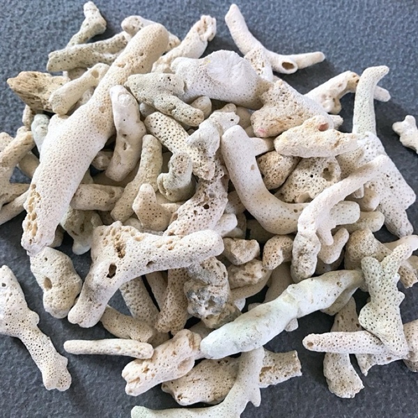 San hô vụn lọc nước