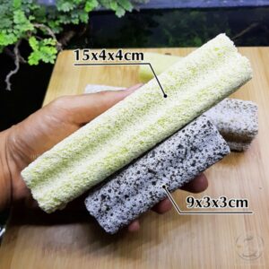 Sứ Thanh Hoa Mai - Thanh Muối Tiêu