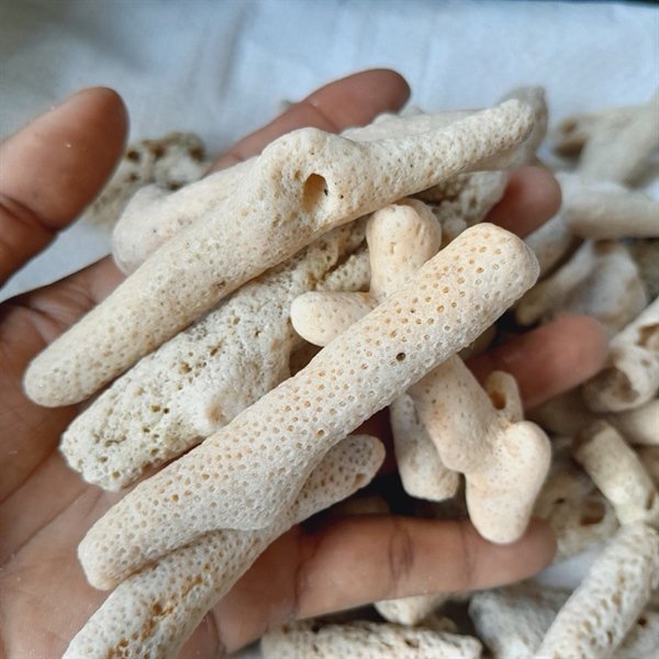 kiotviet_e3fb3de81d05bf6b3d8ec7f6367f4086