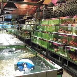 Chợ bán hải sản