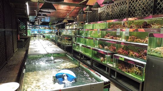 Chợ bán hải sản Chợ bán hải sản