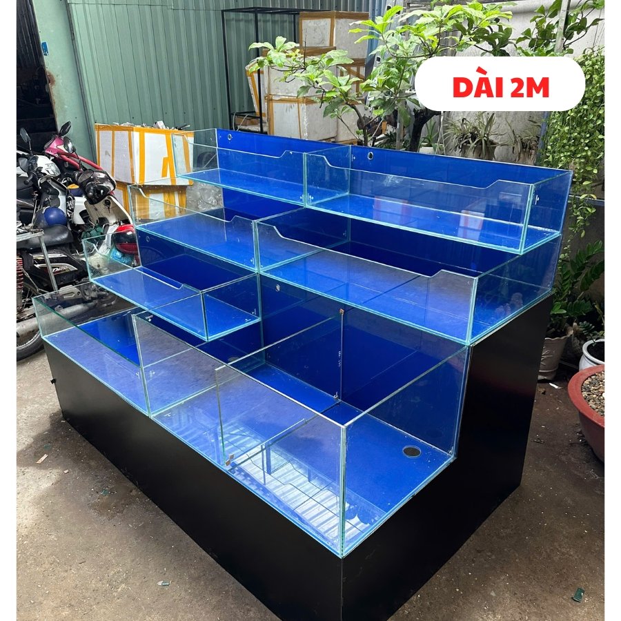 Thi công hồ hải sản Thi công hồ hải sản