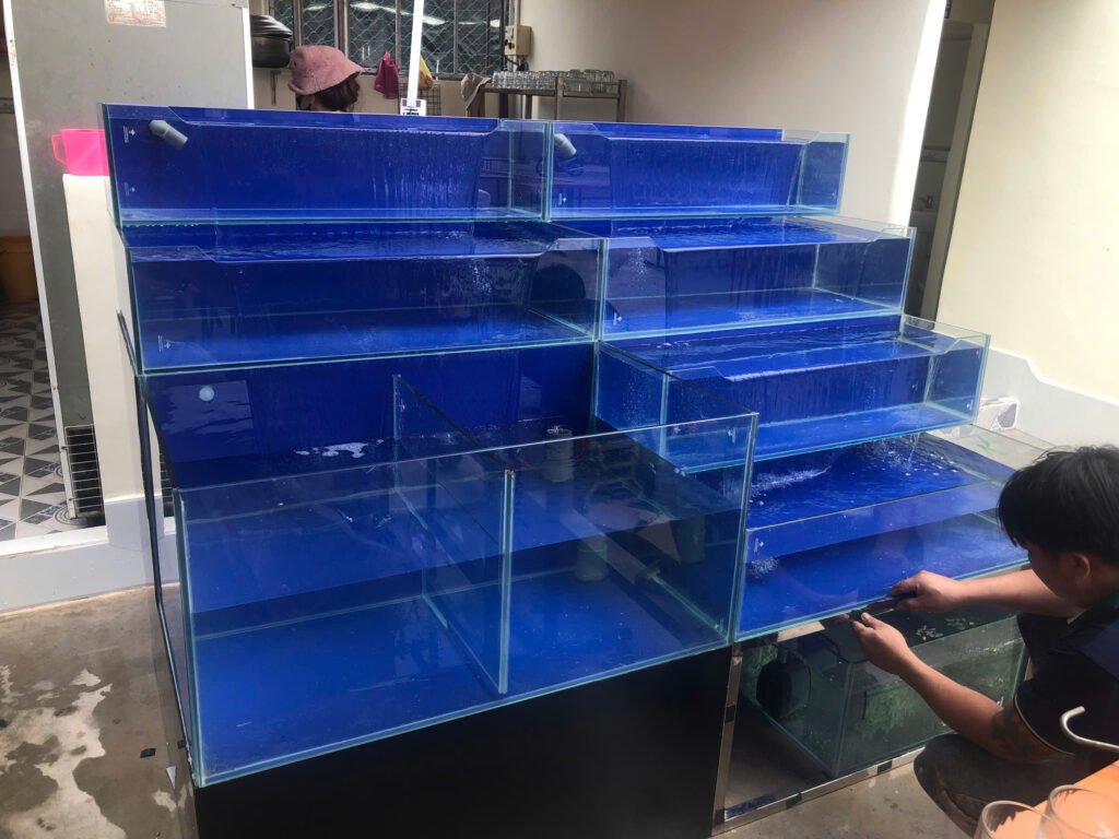 thiết kế bể hải sản