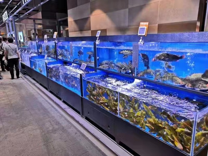 xử lý xự cố hồ hải sản