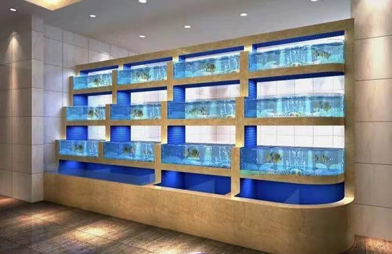 bảo trì hồ hải sản