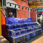 Thi công bể hải sản