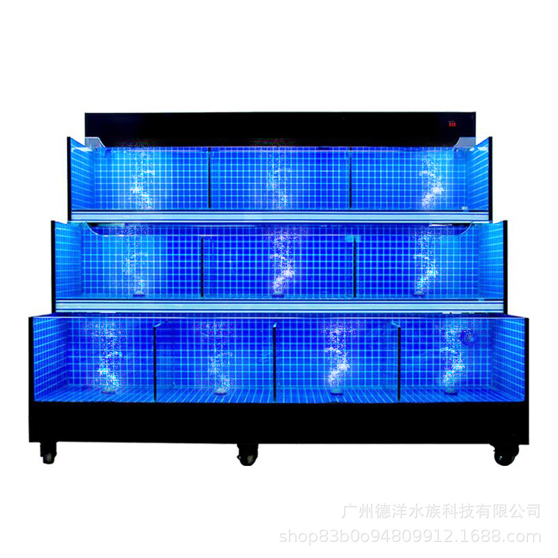 Hồ hải sản giá rẻ