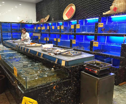 hồ hải sản sang trọng